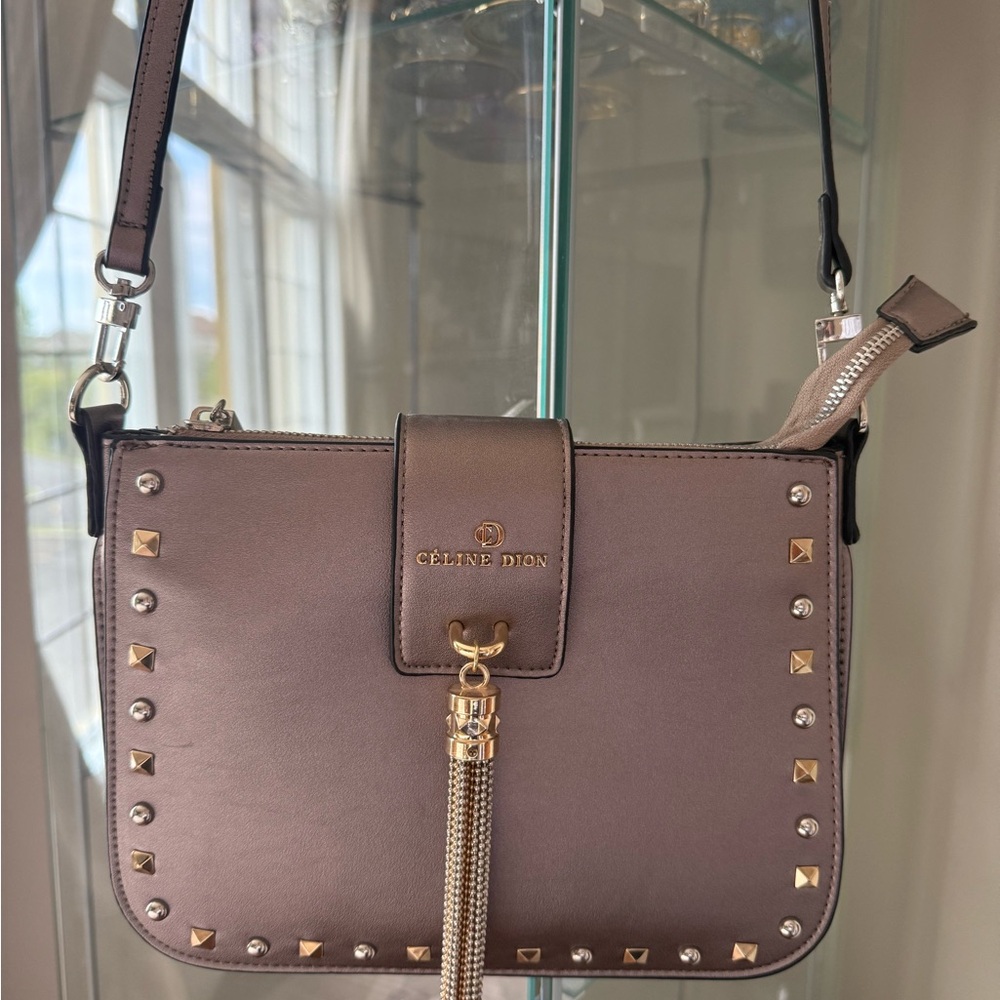 Celine Dion Metallic Crossbody Bag